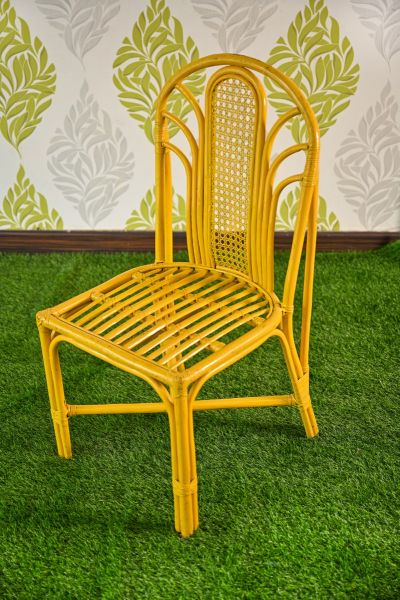 Fan Dining Chair 