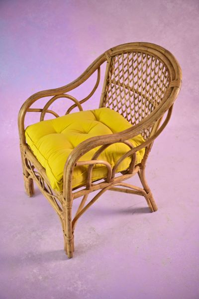 Single Jaali Chair